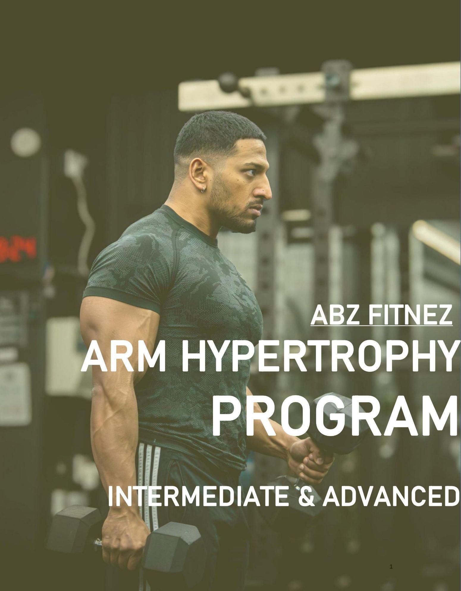 Arm Hypertrophy Program - Abzfitnez