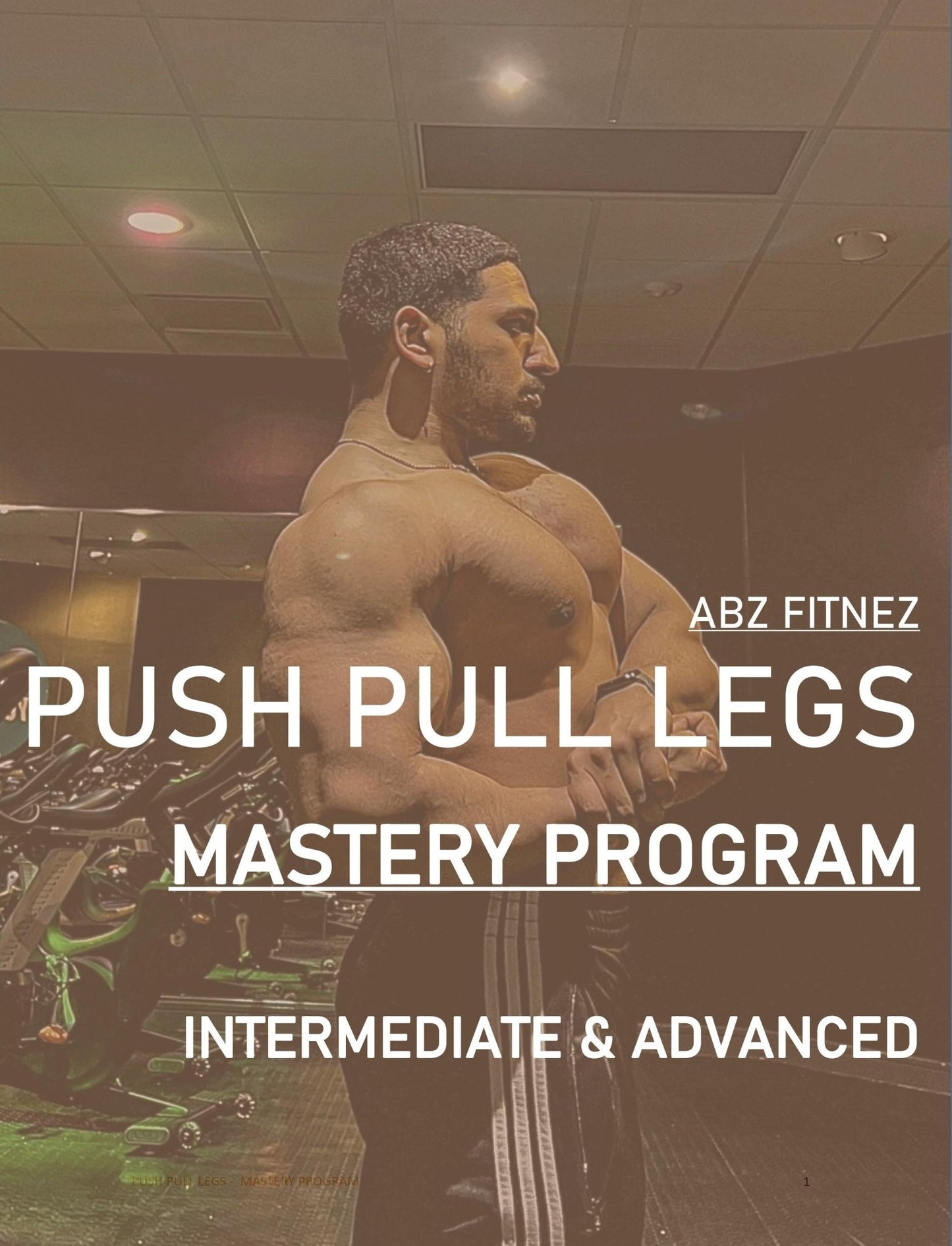 Push Pull Legs – Mastery Program - Abzfitnez